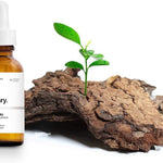 The Ordinary – Amino Acids + B5 Hydrating Serum