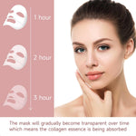 BIODANCE Bio-Collagen Deep Hydrogel Mask — Overnight Pore Minimizing | Elasticity | 34g x4