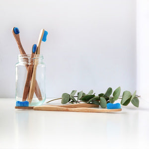 Sonic Electric Toothbrush with 4 Heads