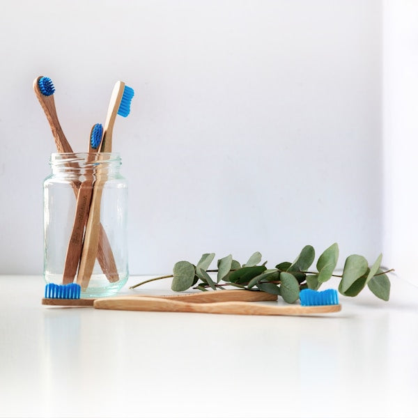 Sonic Electric Toothbrush with 4 Heads